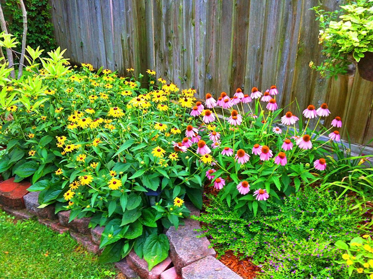 Lyndon House Bed & Breakfast Lexington Extérieur photo